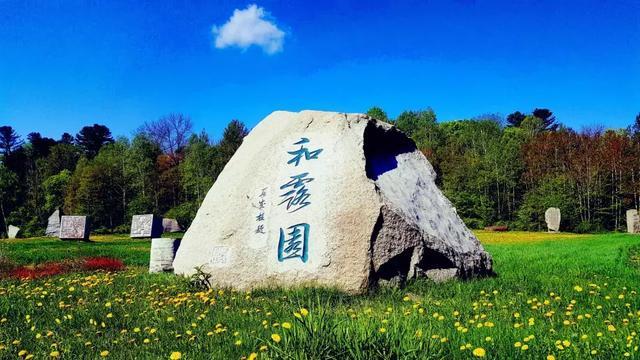 重返战场