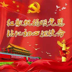 熊仔之熊猫大侠修行路